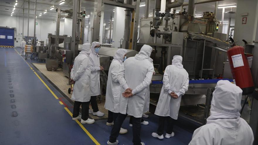 Visita a las instalaciones de Freigel Foodsolutions en Roales del Pan. | VÍCTOR GARRIDO