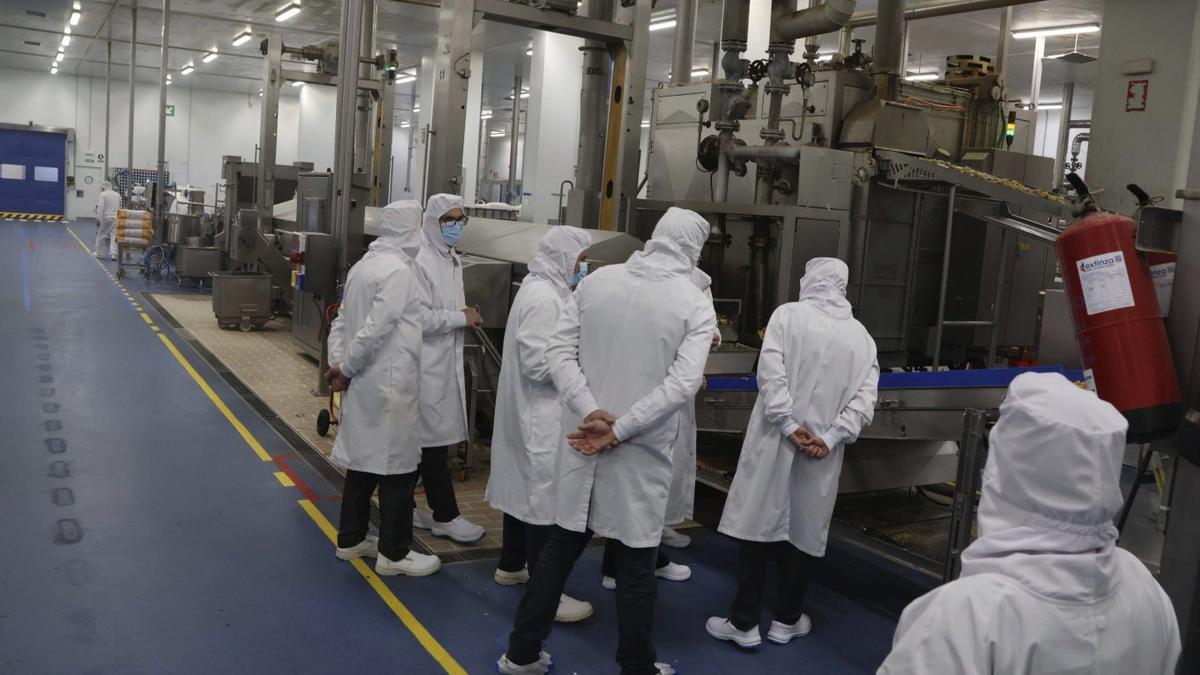 Visita a las instalaciones de Freigel Foodsolutions en Roales del Pan. | VÍCTOR GARRIDO