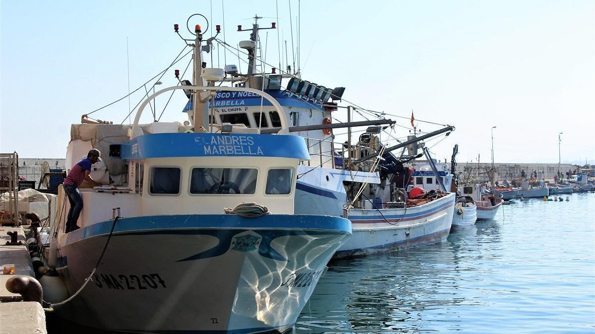 Embarcaciones de arrastre amarradas en el puerto de La Bajadilla.