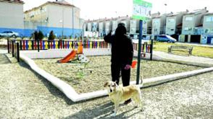 Vecinos piden control para acabar con las heces caninas en la calle