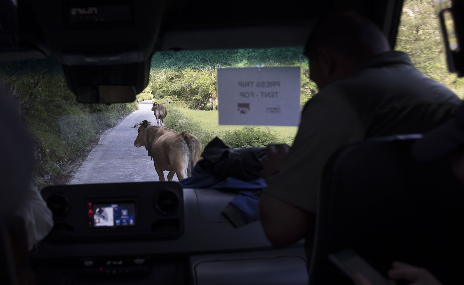 El oso pardo, un motor económico que corre peligro de entrar en extinción