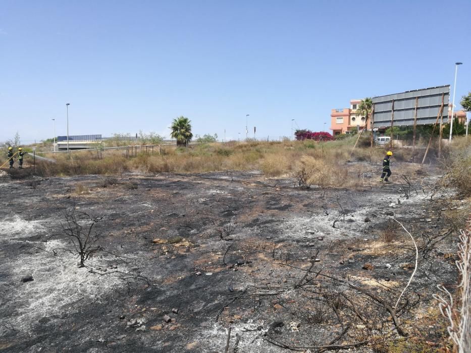 Los bomberos de Torrevieja y los bomberos forestales de Guardamar han extinguido hoy un incendio de matorral que ha arrasado cinco mil metros junto a cientos de viviendas y la variante de la N-332, fr