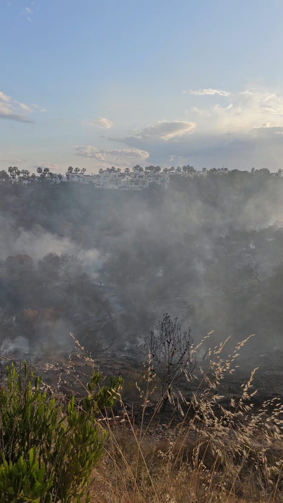 Las llamas del incendio en Orihuela Costa