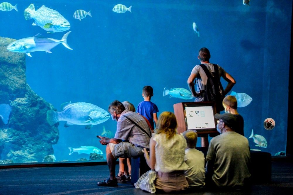 Los turistas visitan el acuario Poema del Mar