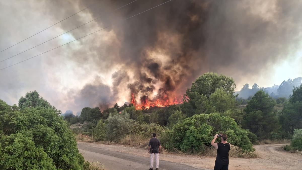 INCENDIO CASTELLÓN | El incendio desde Azuébar: «Lo vemos venir, decimos lo que va a pasar, pero no nos hacen caso»