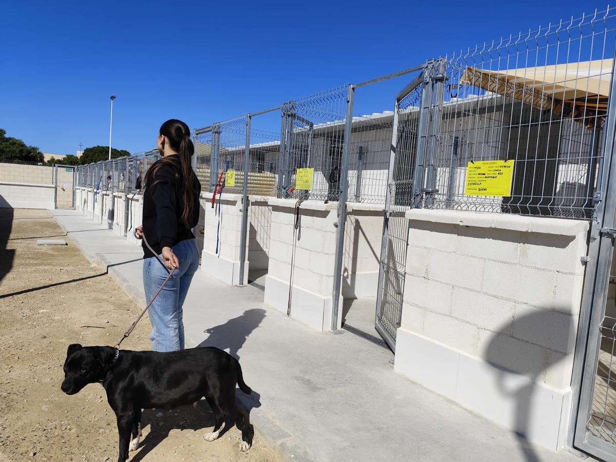 Instalaciones del Albergue Animal de Torrevieja