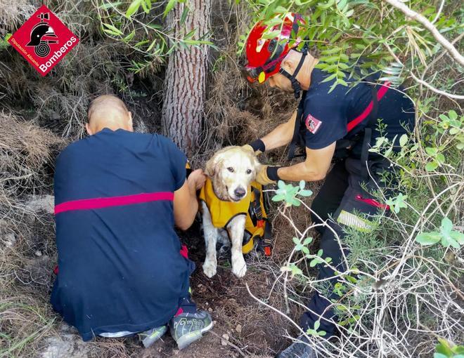 Els bombers rescaten un gos a Serra Gelada perquè no podia continuar la travessa per cansament