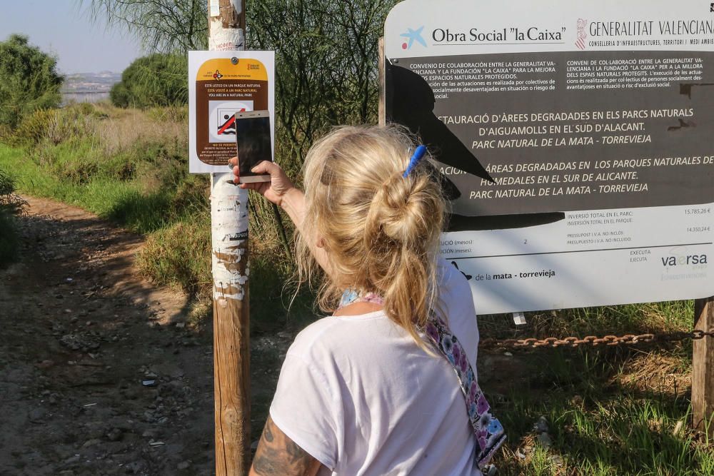 Guardia Civil y Policía cierran el paso a los bañistas en la laguna de Torrevieja. El personal del parque natural y agentes ambientales de la Generalitat informan sobre la prohibición de baño