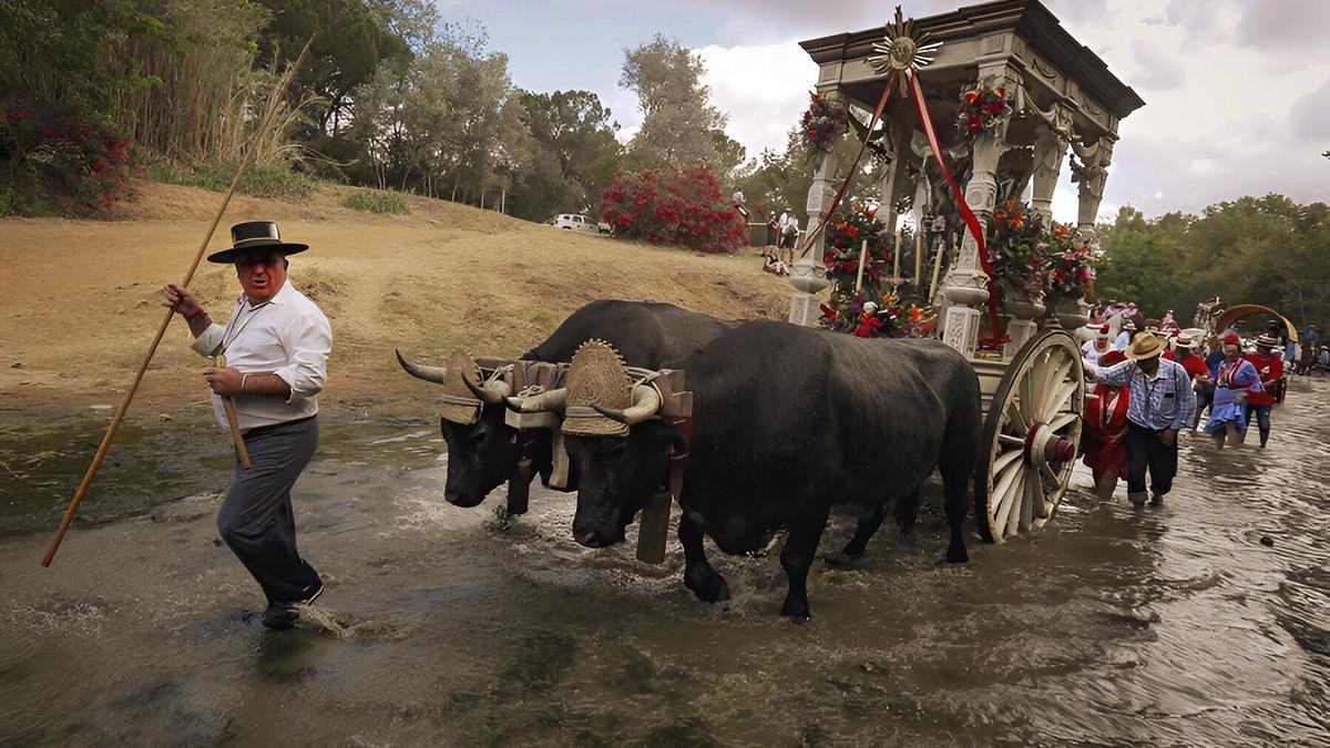 Una carreta tirada por bueyes camino hacia El Rocío