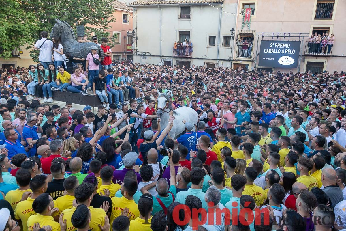 Entrega de premios del concurso morfológico de los Caballos del Vino de Caravaca