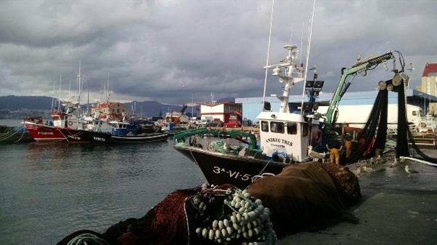 Buques de cerco en el puerto vigués.