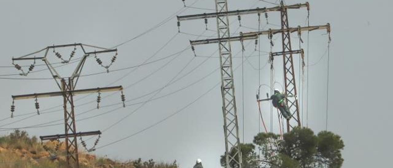 Unos operarios trabajan en una torre de alta tensión en Orihuela. |