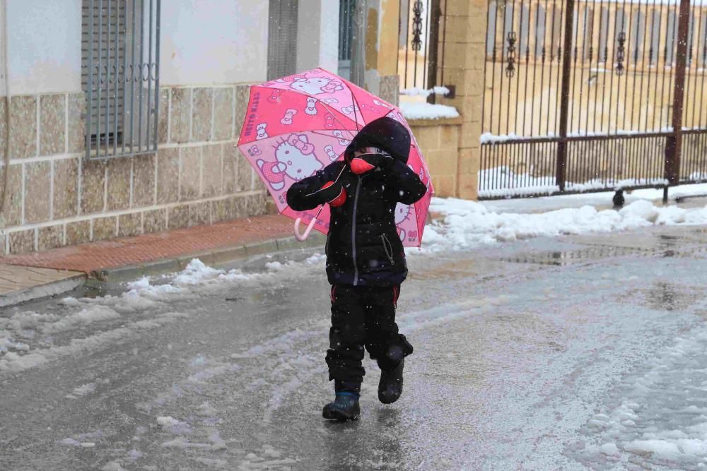 Nieve en Coy, Lorca