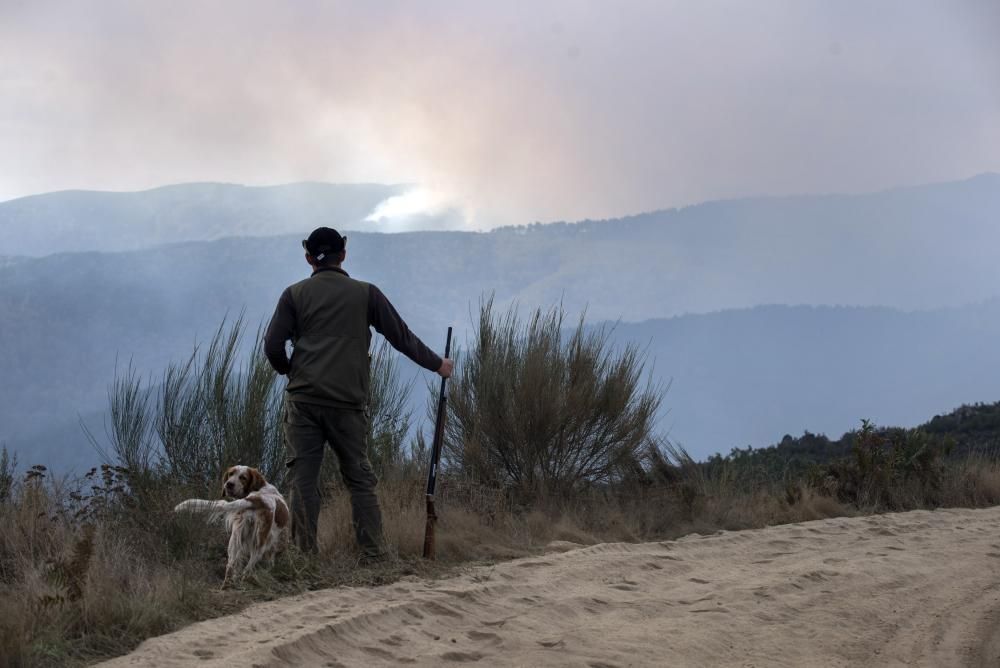 Incendios en Galicia | Fuegos en Ourense