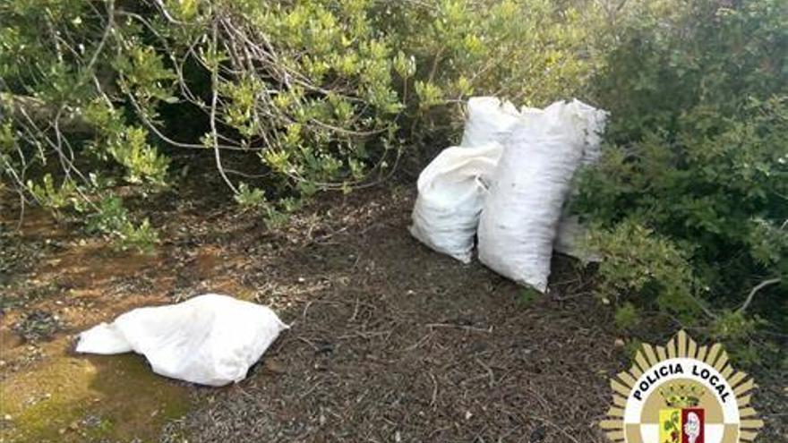 Sorprendidos robando algarrobas en Vinaròs