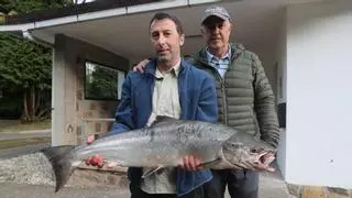 Un restaurante madrileño adquiere el primer salmón de la temporada por una desorbitada cifra