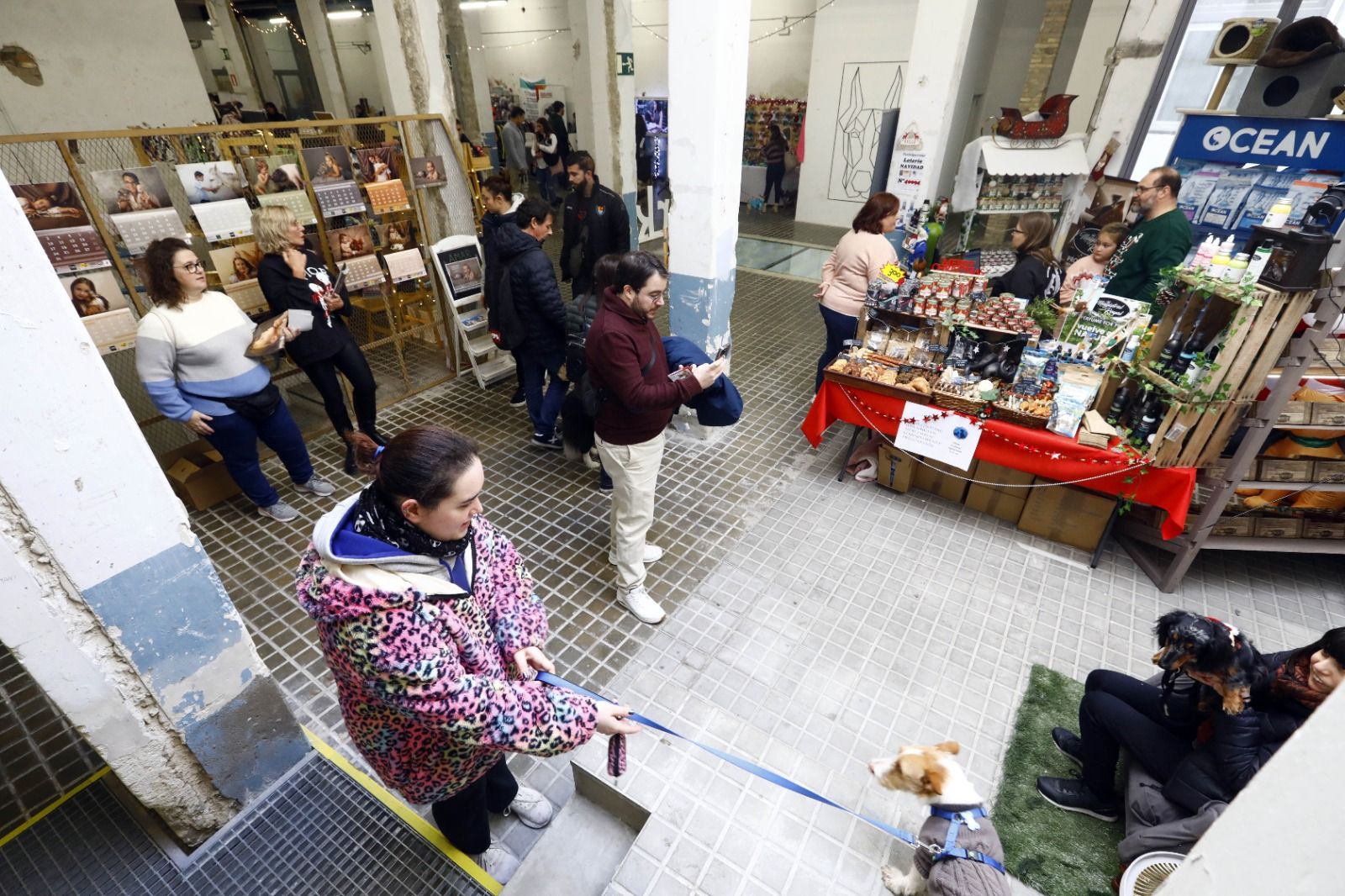 El mercado de mascotas de Zaragoza, en imágenes