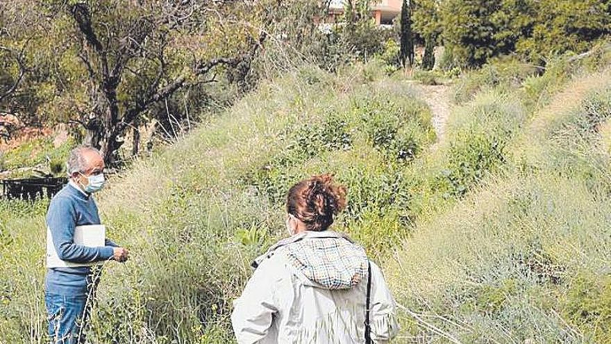 Otra vista de los terrenos municipales.