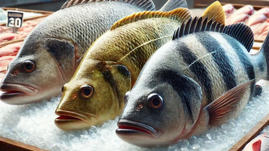 Los tres pescados que los médicos recomiendan no comer: son perjudiciales para tu salud