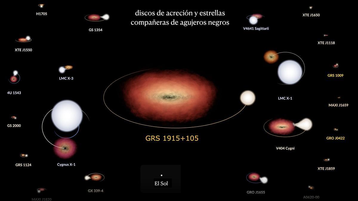 Representación del tamaño relativo de 22 binarias de rayos-X con agujero negro. Se observa cómo en el caso de GRS 1915+105 tanto la estrella compañera, como muy especialmente el disco de acreción que canaliza el gas hacia el agujero negro, son notablemente más grandes que en cualquier otro sistema.
