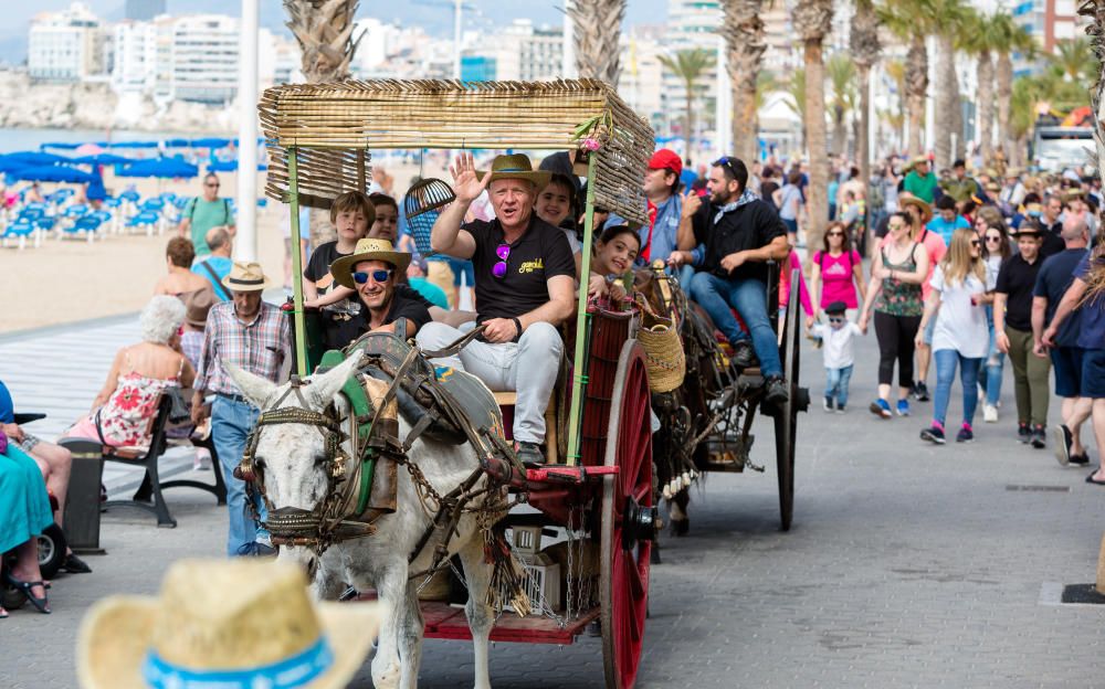 San Isidro 2018 en Benidorm