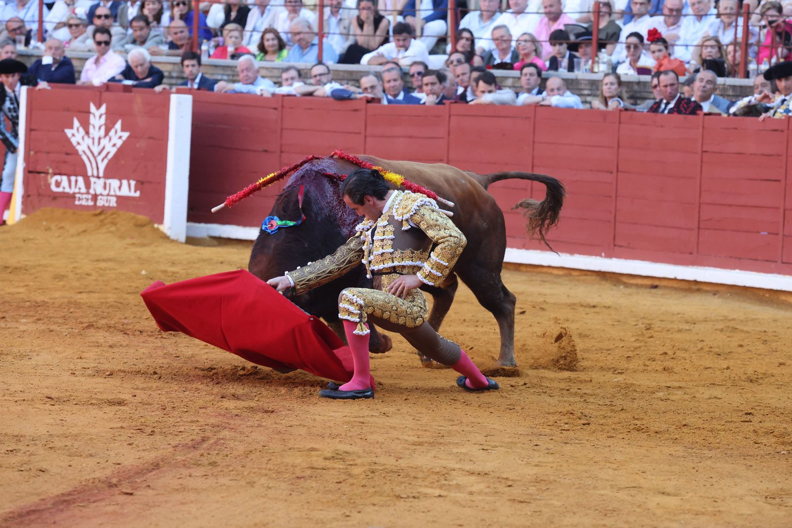 Román toma la alternativa y la puerta grande se abre para Roca Rey y Ortega