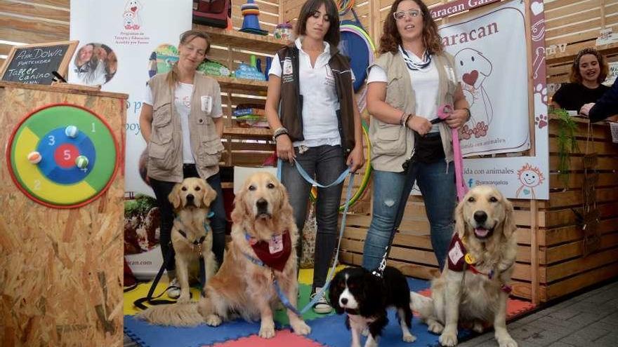 Yaracan, un proyecto de terapia con animales que se presentó el pasado año en Pont-Up Store.// R. Vázquez