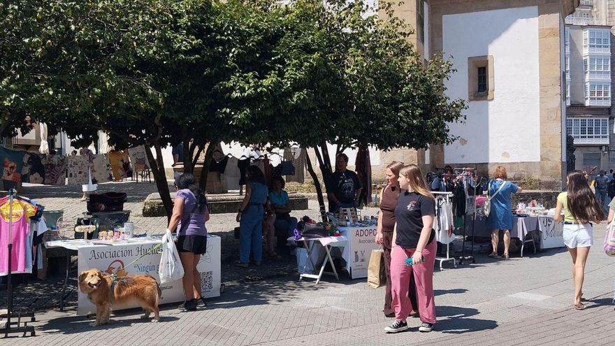 Campaña de recaudación de fondos hecha por asociaciones de protección animal.