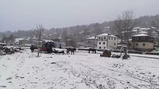 La nieve cala Sanabria y cubre los destrozos de los incendios