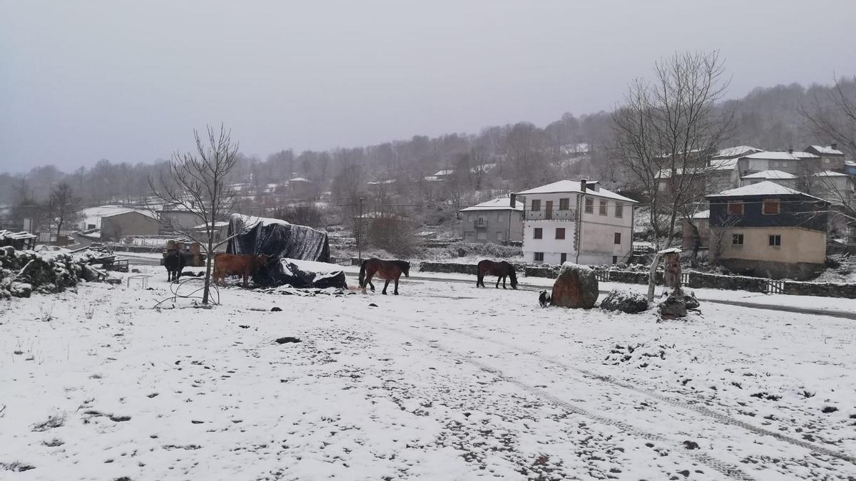 Porto tras la nevada.