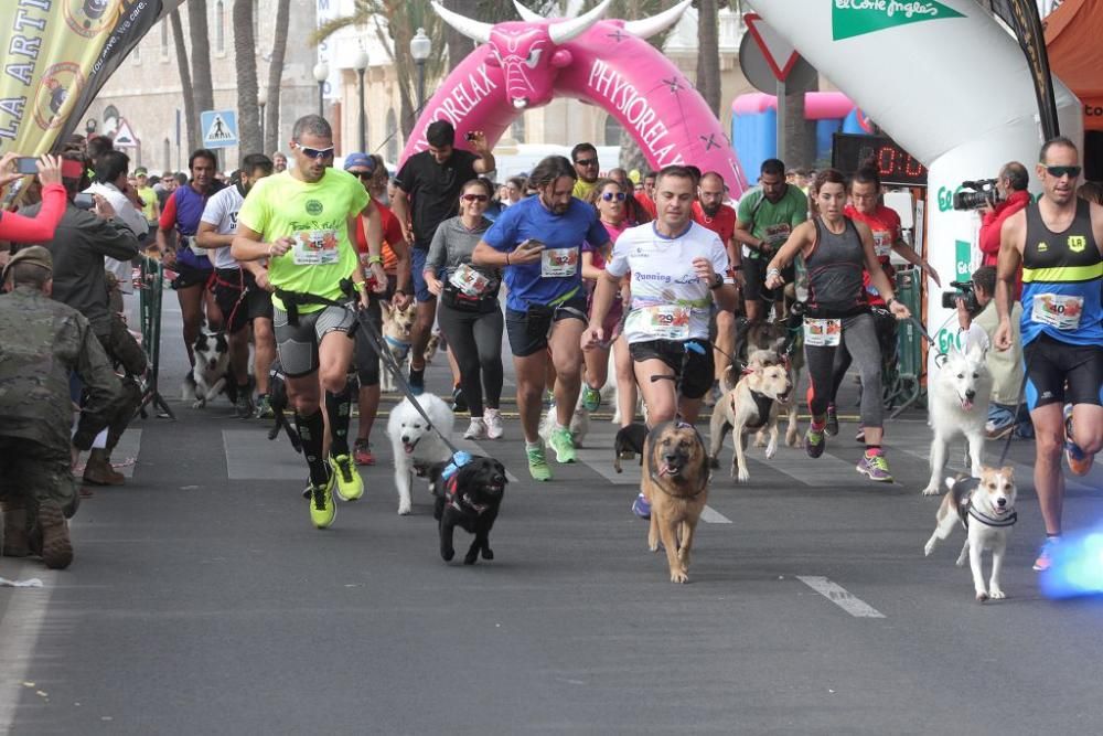 Canicross del Cross de la Artillería de Cartagena