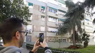 Árboles caídos sobre edificios y en la calle, coches aplastados y placas solares arrancadas: casi 150 incidencias en Córdoba por el viento