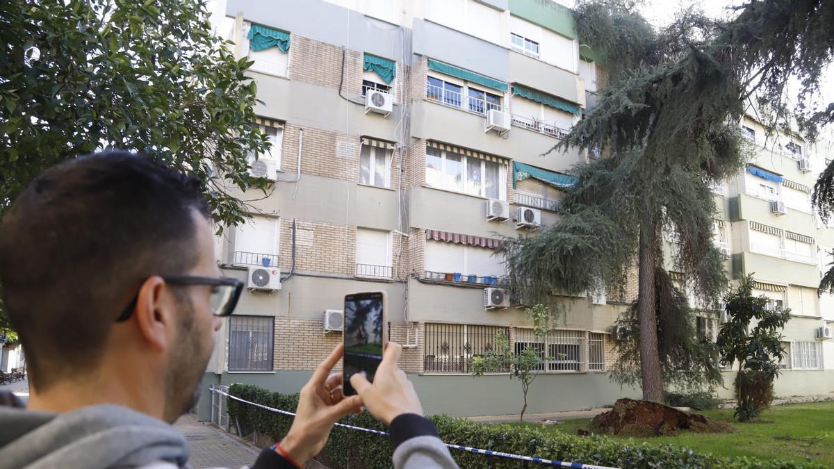 El fuerte viento deja árboles caídos en coches y edificios