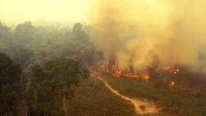 Incendio en la Amazonía brasileña