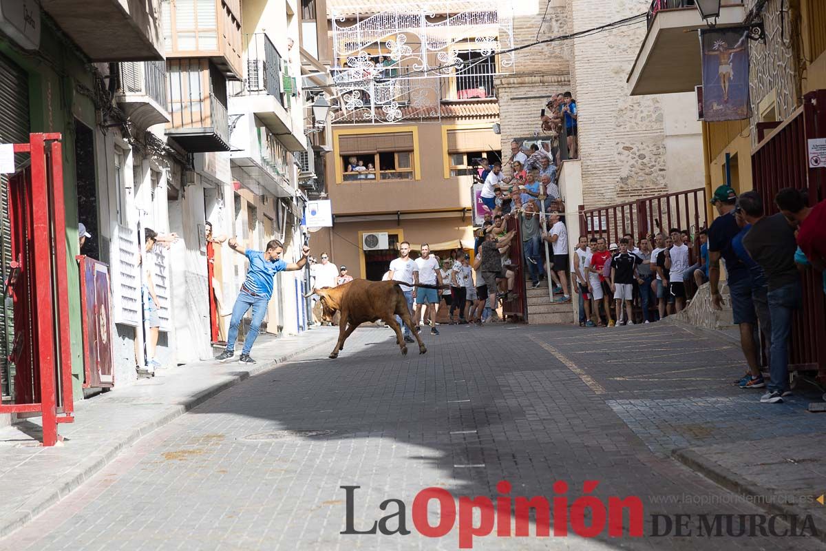 Séptimo encierro de las Fiestas de Moratalla