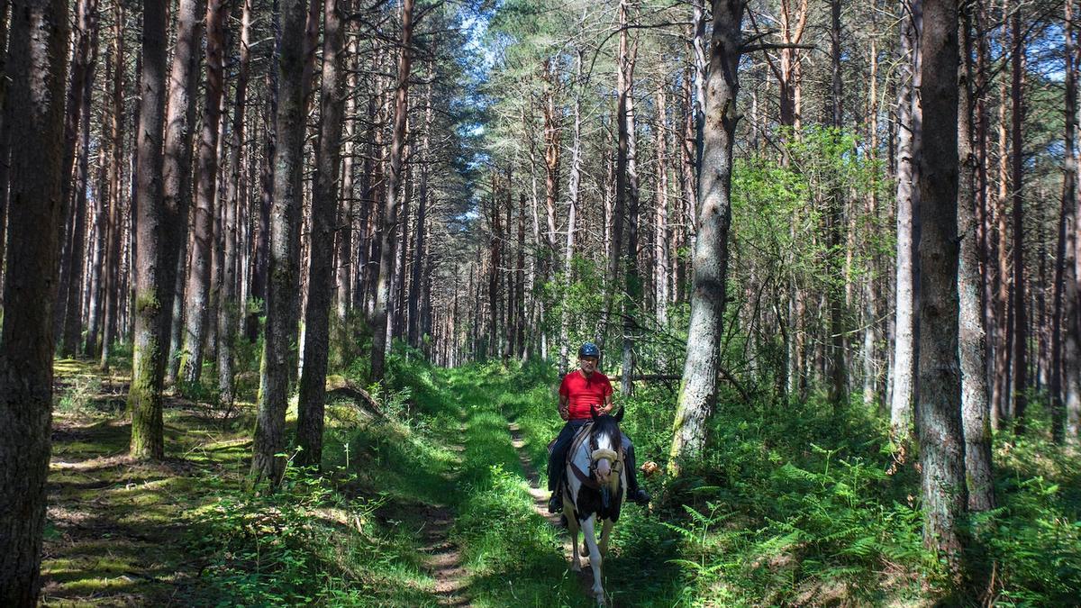 Camino Primitivo, Santiago de Compostela