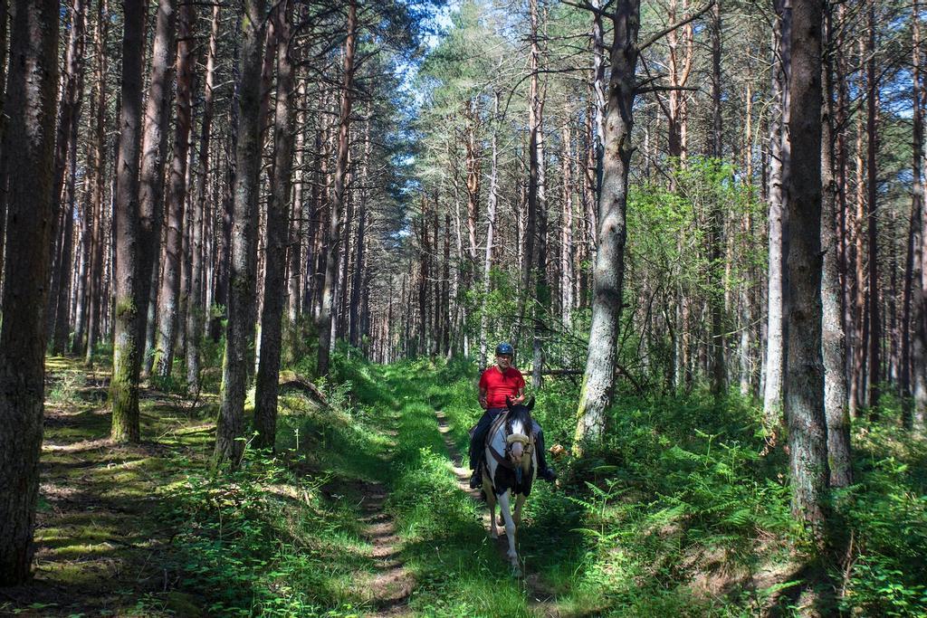 Camino Primitivo, Santiago de Compostela