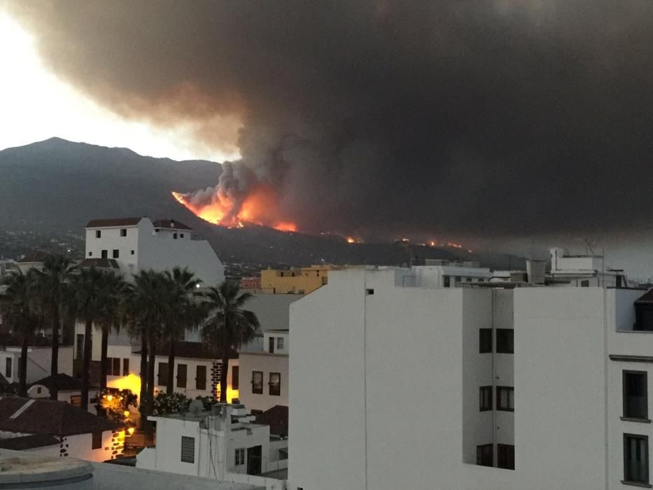 Incendio forestal en la zona de Las Manchas, en La Palma