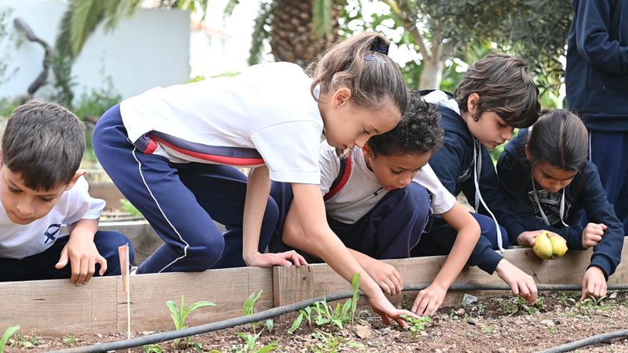 Una educación comprometida con la formación de buenos ciudadanos