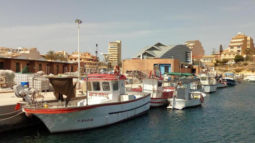 La Cofradía de Pescadores de El Campello lanza un SOS para tratar de sobrevivir