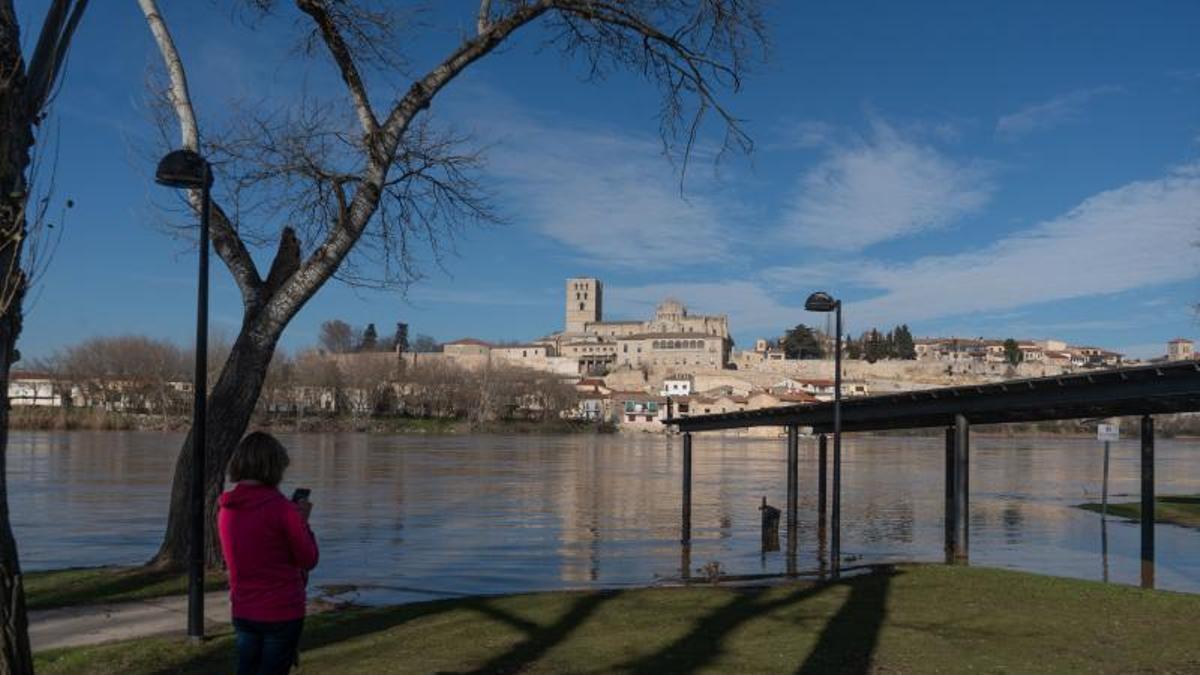 Vista de la zona antigua de Zamora desde el Duero