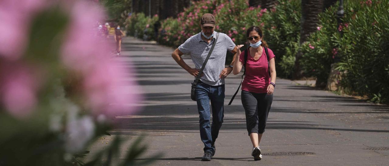 Una pareja pasea por el Camino Largo de La Laguna.