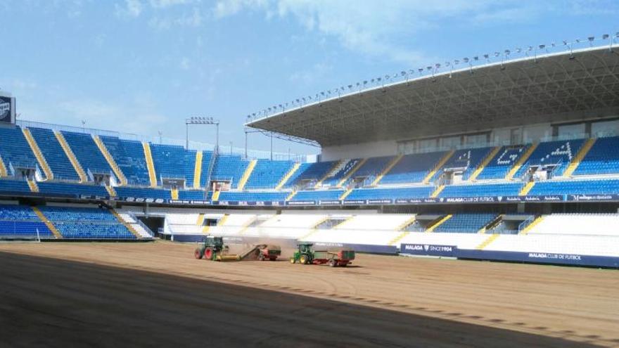 El Málaga cambia el césped de La Rosaleda