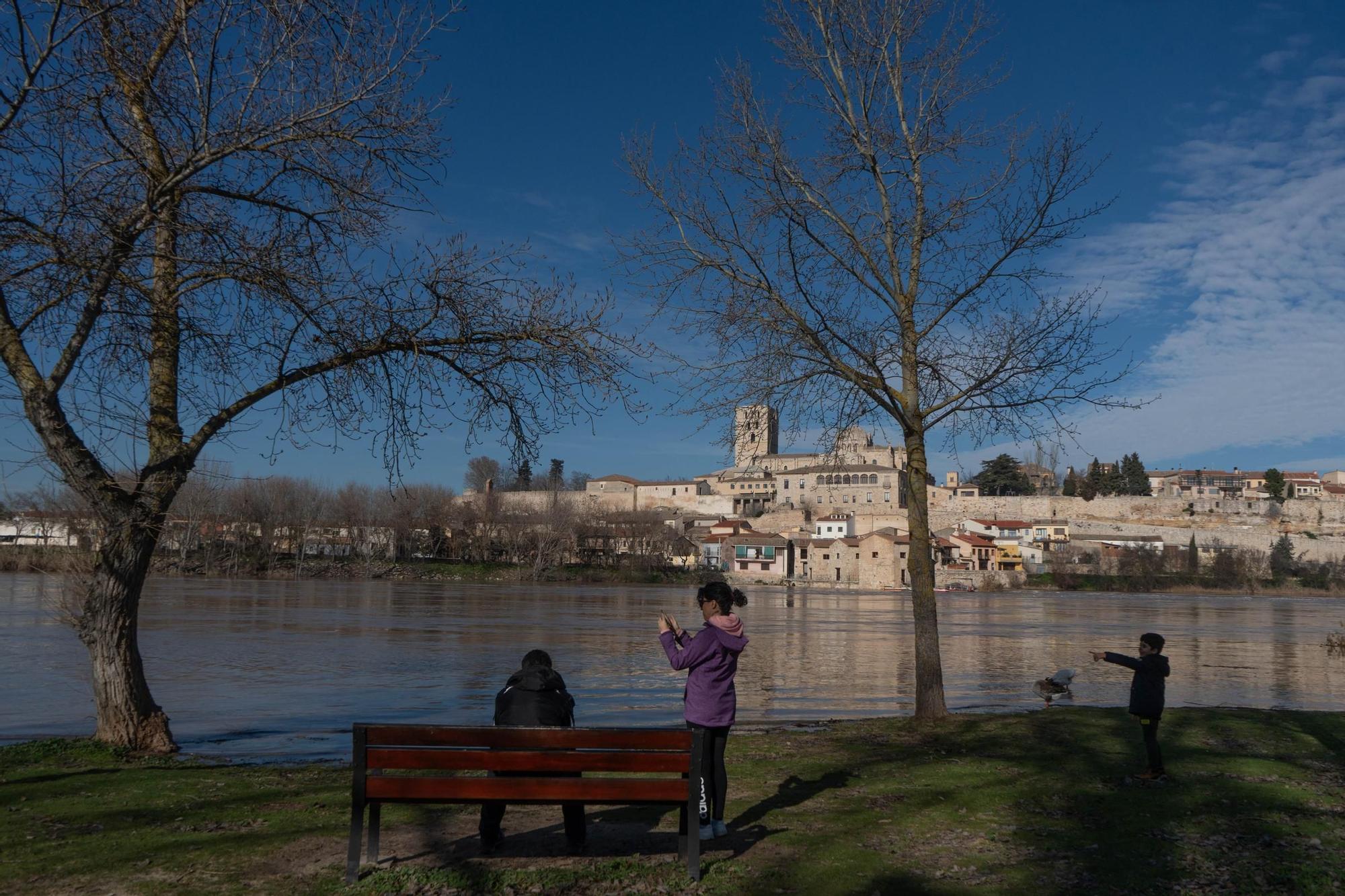 Crecida del río Duero a su paso por Zamora capital