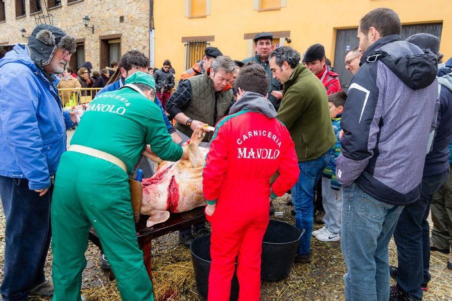 Matanza del cerdo en Tábara