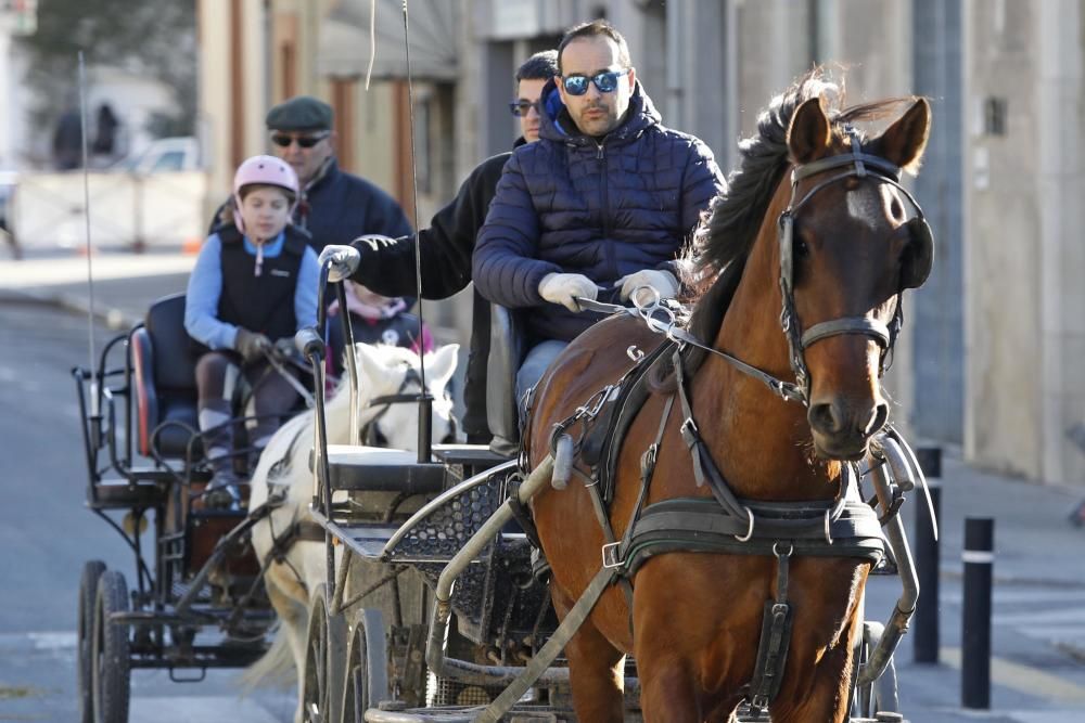 Torroella de Montgrí celebra la Fira de Sant Andreu