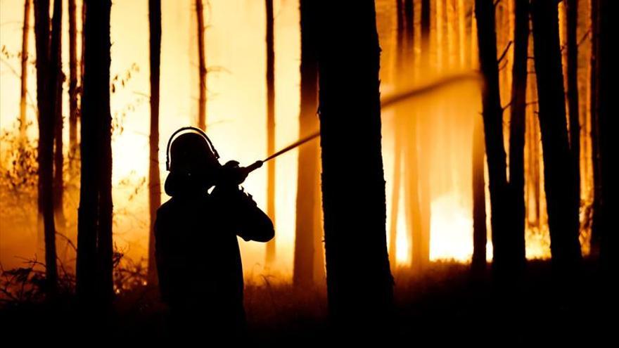 Una ola de incendios agrava un verano atípico en Alemania