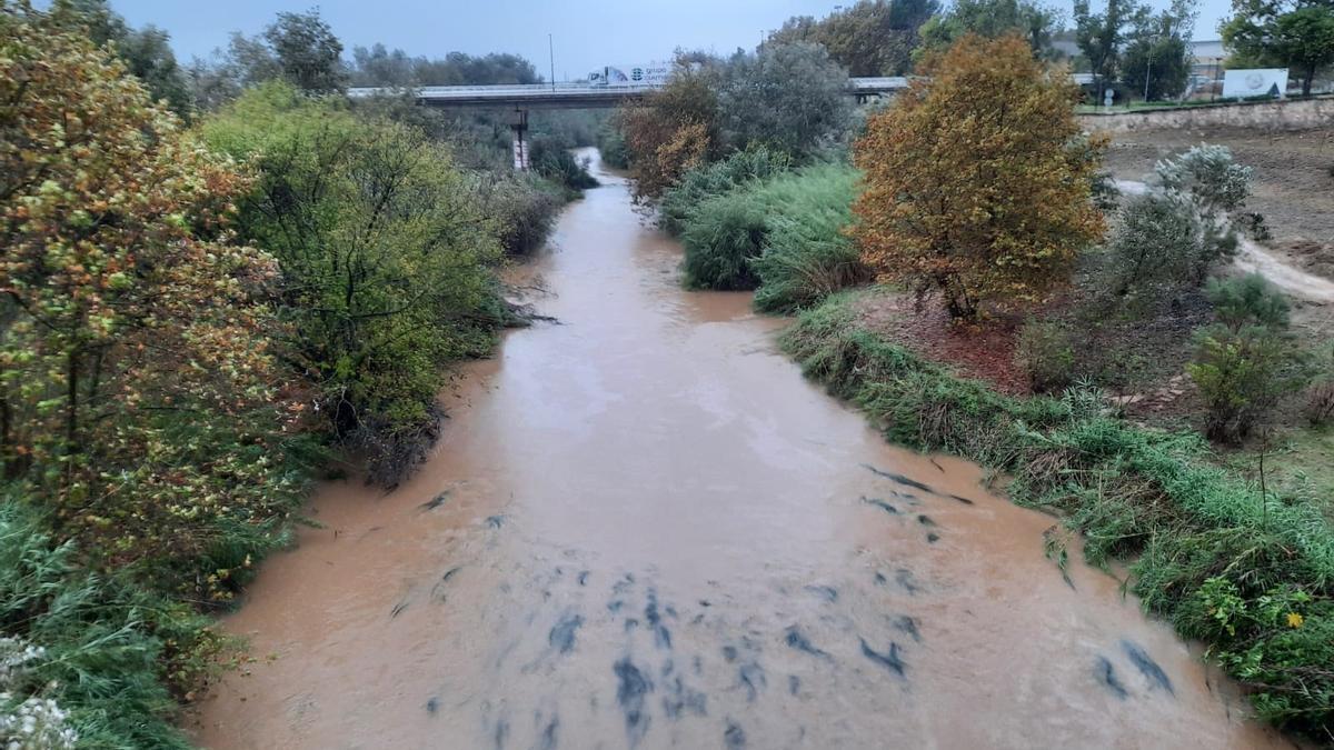 Arranca el plazo para que los ayuntamientos de la Ribera afectados por las tormentas pidan ayudas del estado