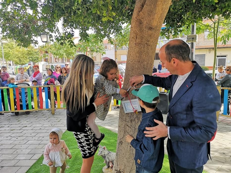 Árbol del chupete en Alcantarilla