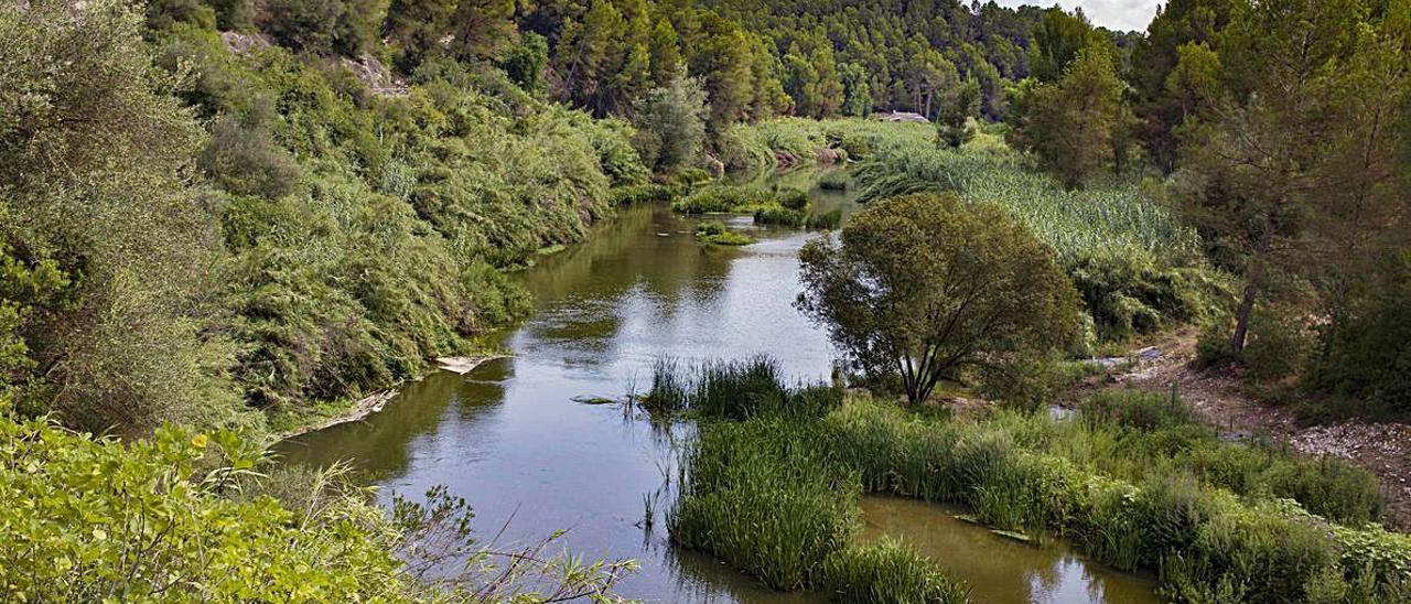 Arriba, senderos en el término de l’Olleria. A la derecha, el río Albaida.